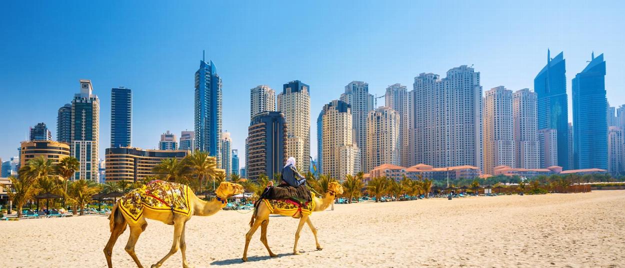 camels walking on beach near skyscrapers in Dubai featuring six towering buildings and vibrant scenery